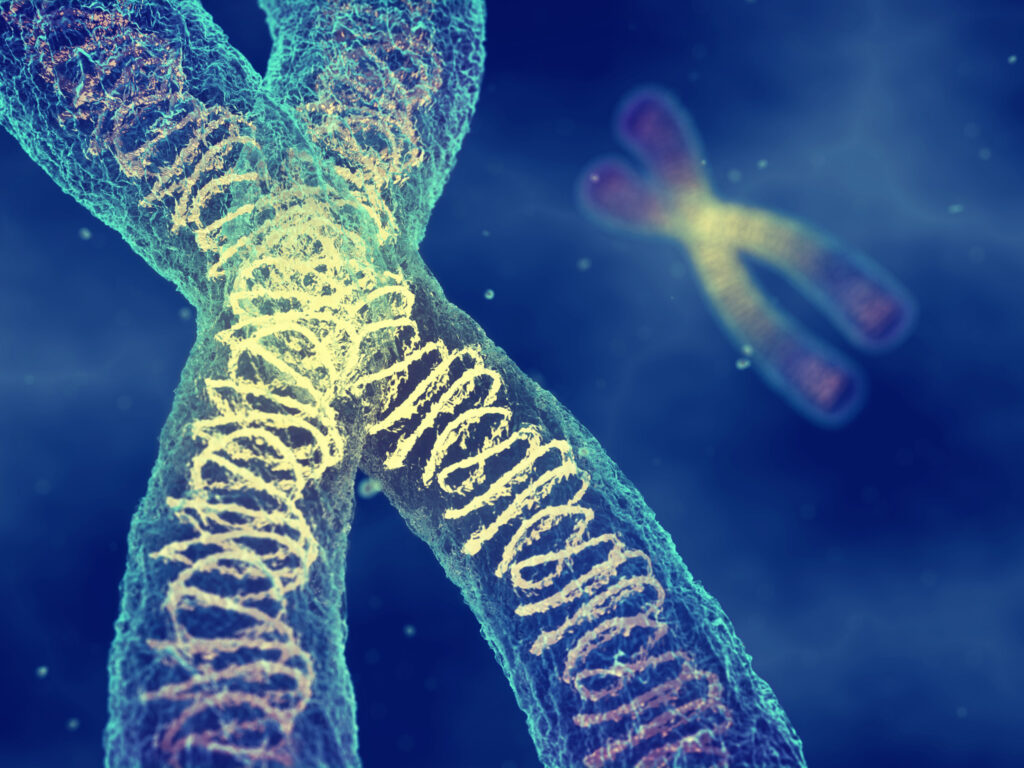 chromosome testing